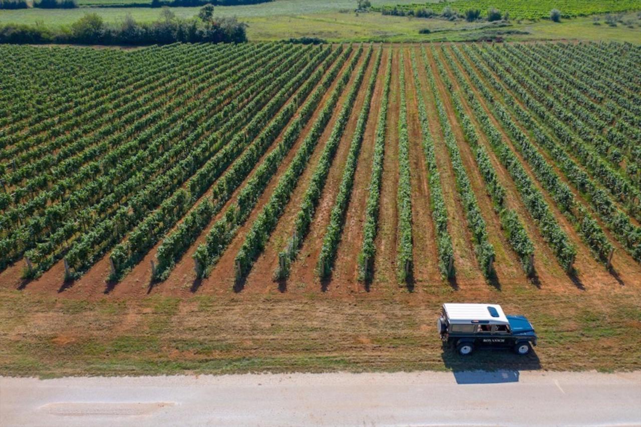 Winery & Design Hotel Roxanich Motovun Bagian luar foto